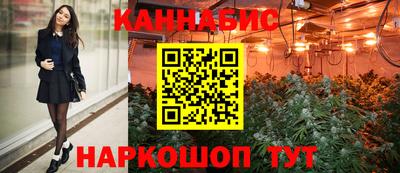 крисы Ставрополь