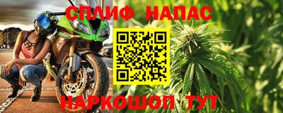 крисы Ставрополь