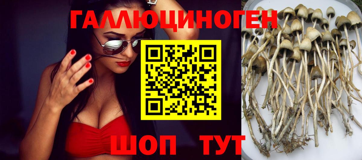 Оренбург  Галлюциногенные грибы Psilocybe  Вход с VPN  Галлюциногенные грибы Magic Shrooms 